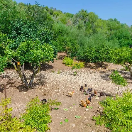 Villa Ses Pedres